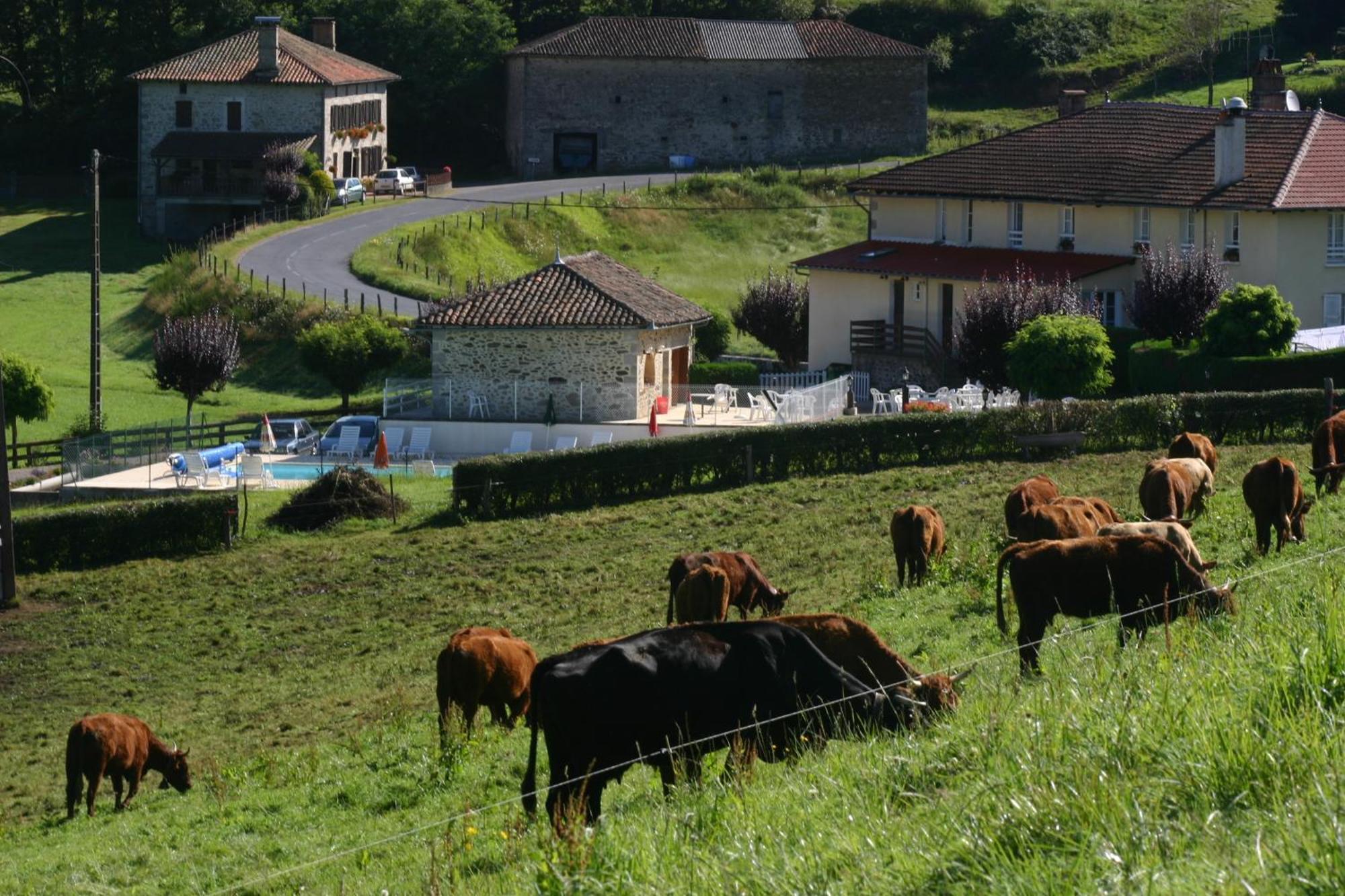 Le Ranfort Chambres D'Hotes Calviac Exterior foto